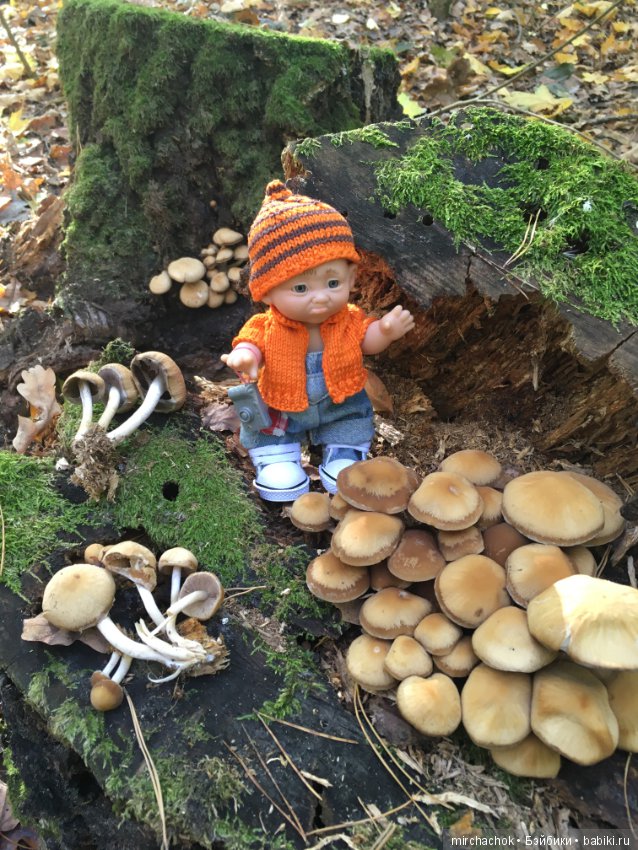 Прогулка по осеннему лесу