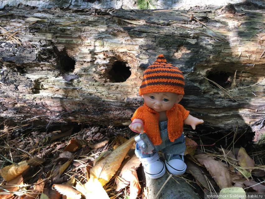 Прогулка по осеннему лесу