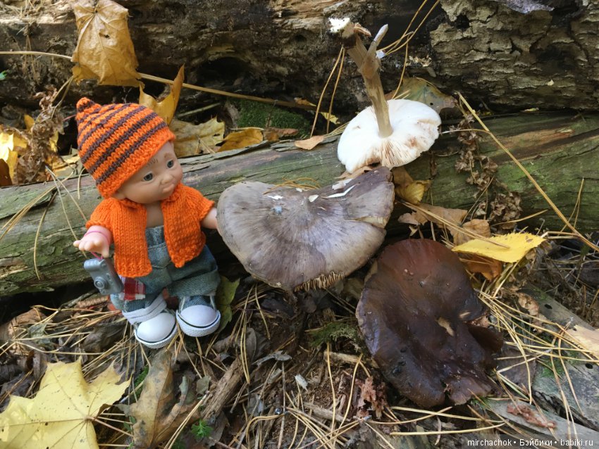 Прогулка по осеннему лесу