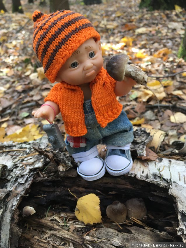 Прогулка по осеннему лесу (фото 3)