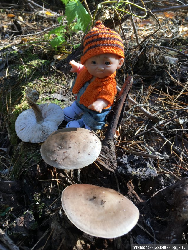 Прогулка по осеннему лесу