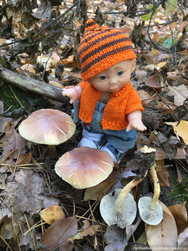 Прогулка по осеннему лесу