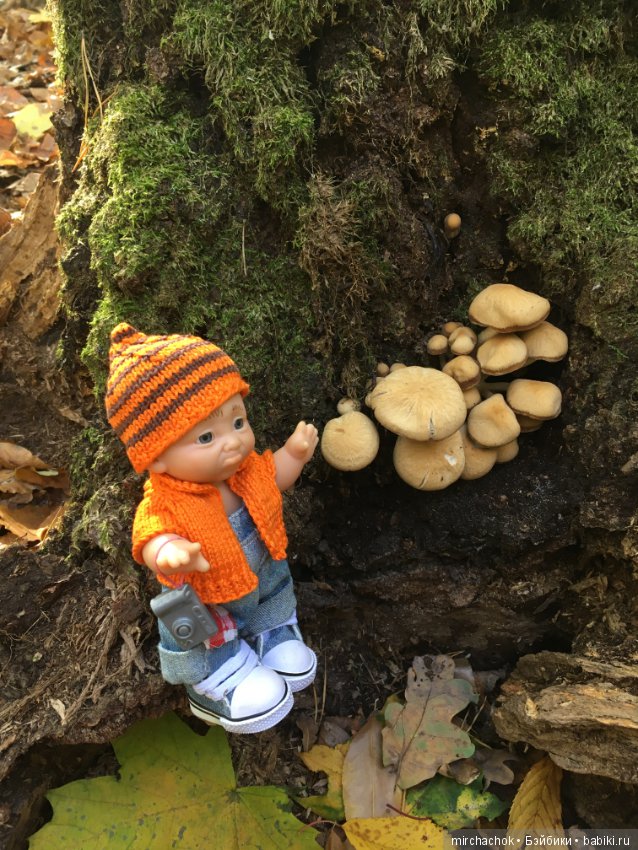 Прогулка по осеннему лесу