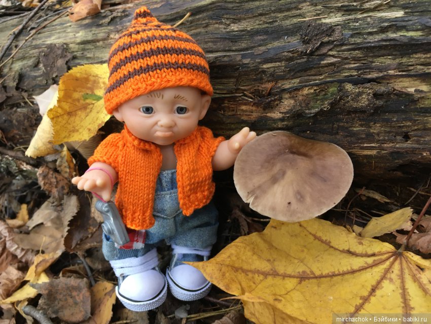 Прогулка по осеннему лесу (фото 6)