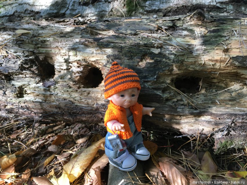 Прогулка по осеннему лесу