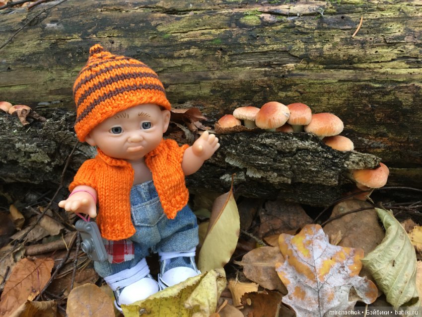 Прогулка по осеннему лесу (фото 4)