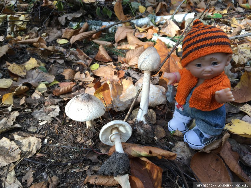 Прогулка по осеннему лесу (фото 9)