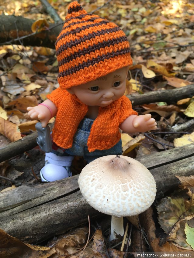 Прогулка по осеннему лесу