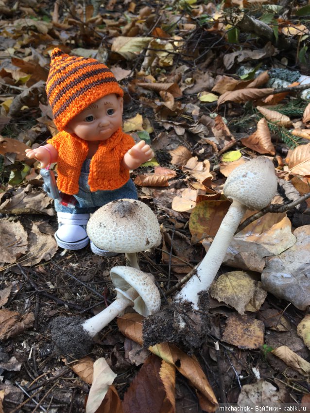 Прогулка по осеннему лесу (фото 8)