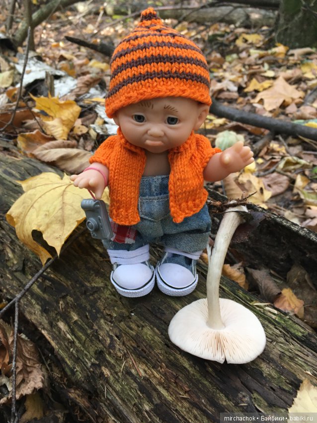 Прогулка по осеннему лесу (фото 7)