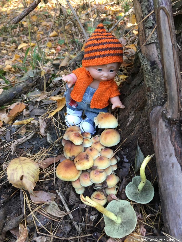 Прогулка по осеннему лесу