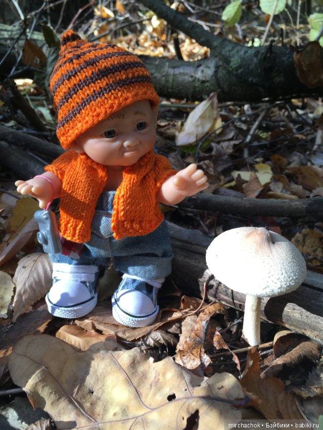 Прогулка по осеннему лесу