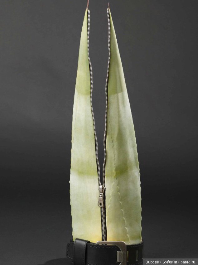 Все куклы, да куклы а о прекрасном? Например,о цветах