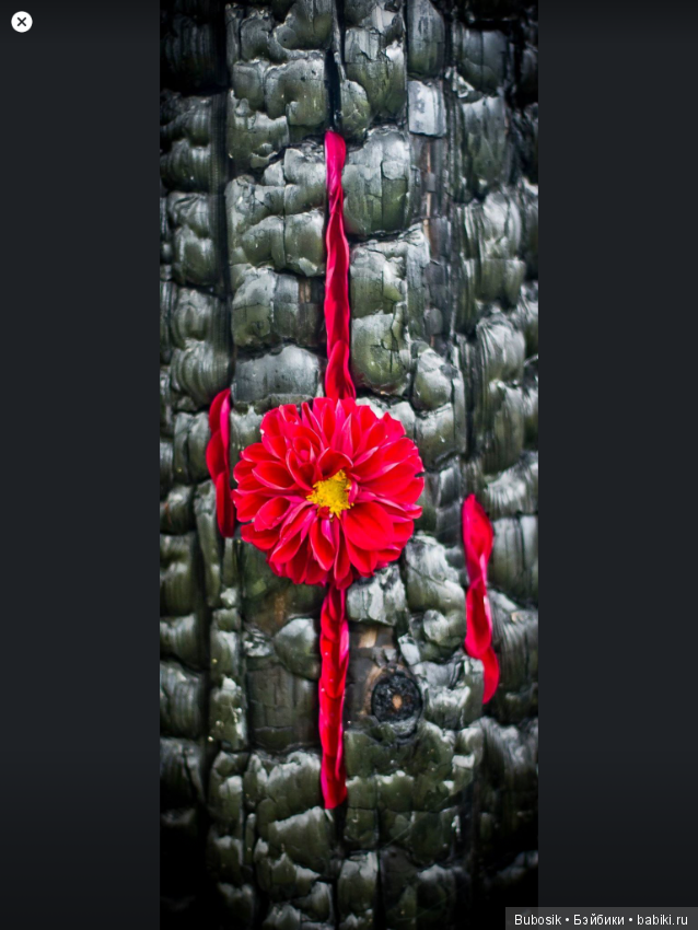 Все куклы, да куклы а о прекрасном? Например,о цветах