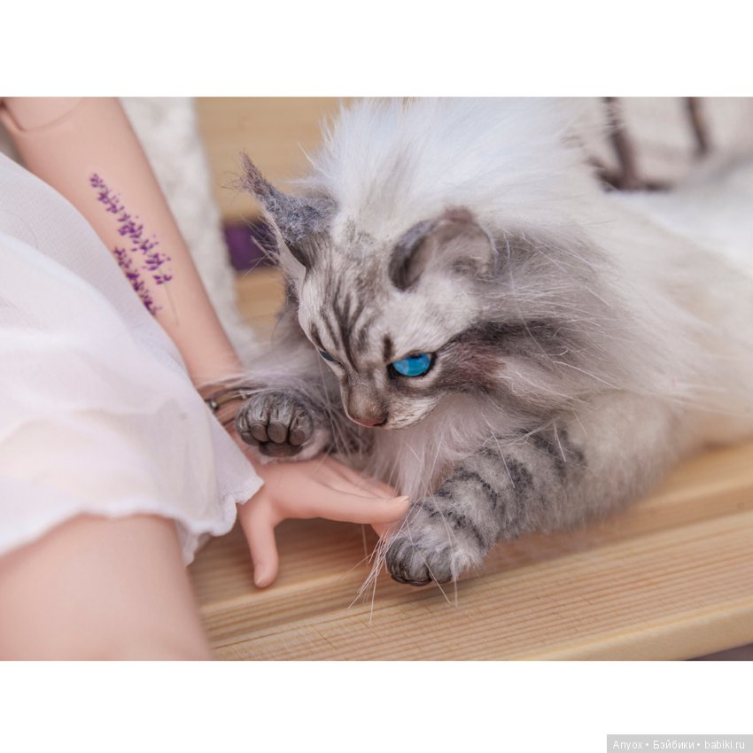 Качели, кот и BJD — Куклы Iplehouse (Иплхаус): BJD (БЖД)