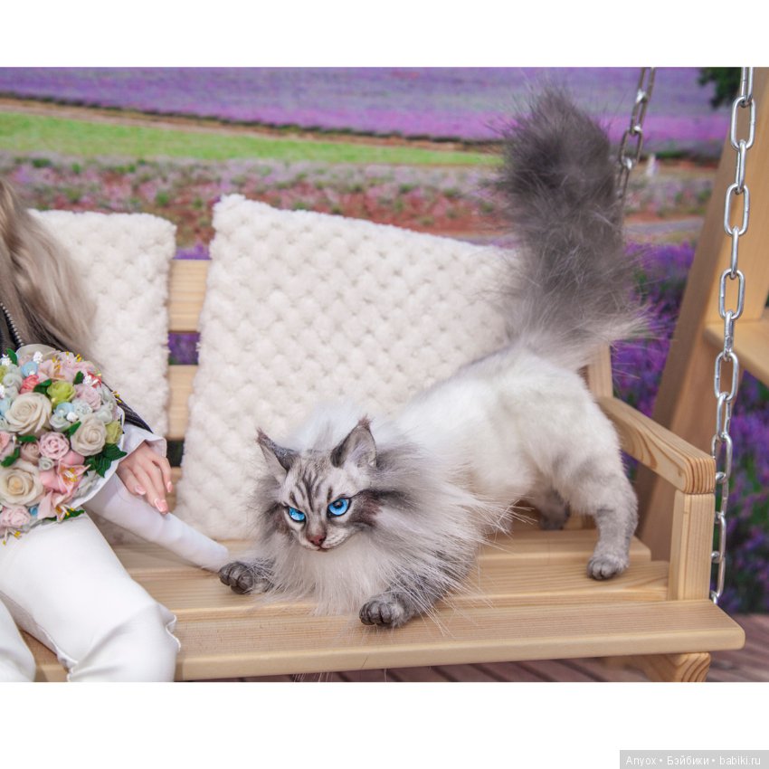 Качели, кот и BJD — Куклы Iplehouse (Иплхаус): BJD (БЖД)