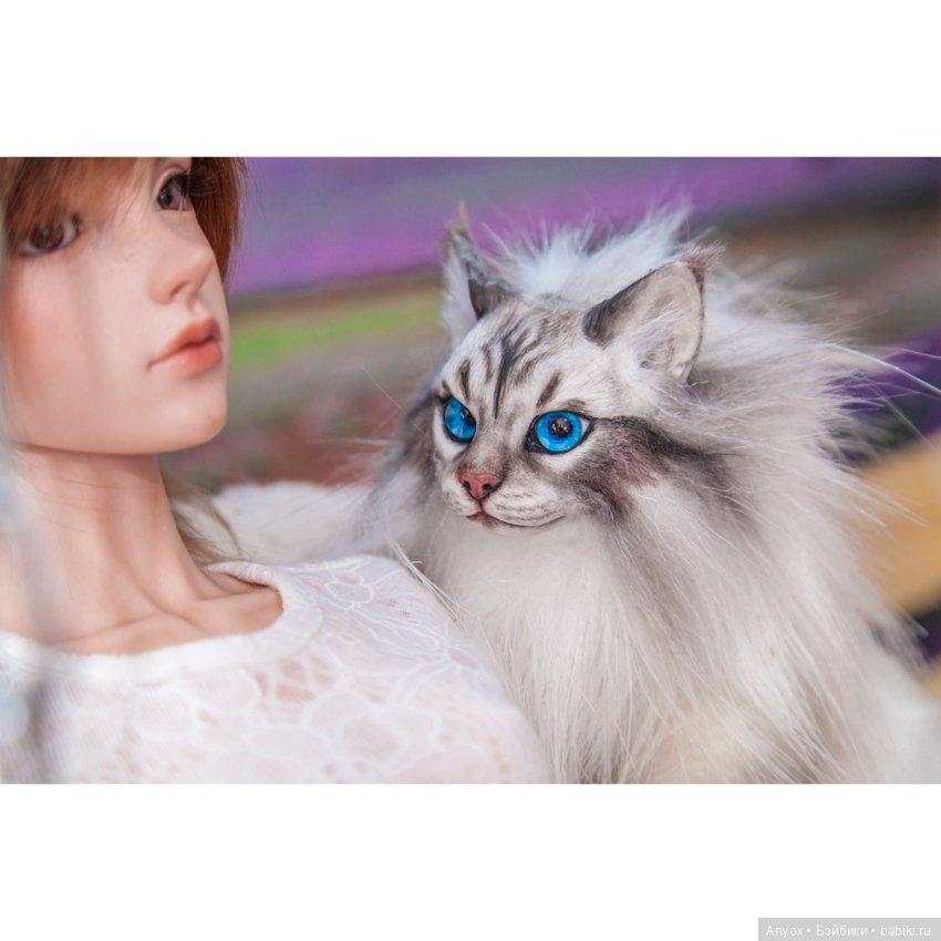Качели, кот и BJD — Куклы Iplehouse (Иплхаус): BJD (БЖД)
