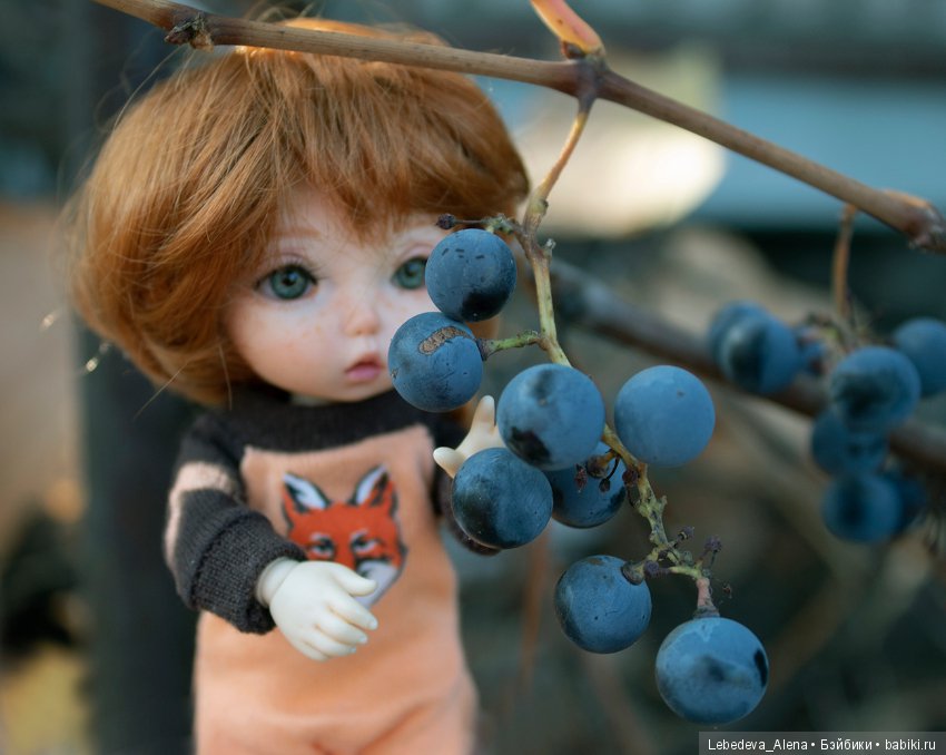 Яблочко от яблоньки — Куклы Fairyland (ФэйриЛэнд): BJD (БЖД) (фото 9)