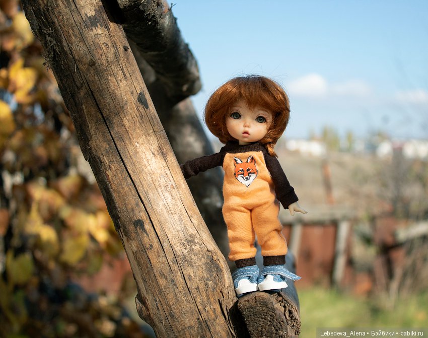 Яблочко от яблоньки — Куклы Fairyland (ФэйриЛэнд): BJD (БЖД) (фото 3)