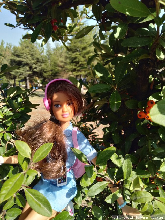 Отличный денёк — Болталка и разговоры обо всем: жизнь (фото 5)