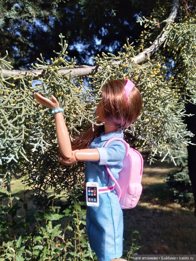 Отличный денёк — Болталка и разговоры обо всем: жизнь (фото 3)