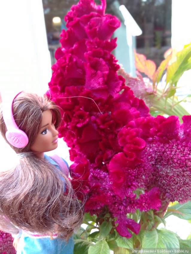 Отличный денёк — Болталка и разговоры обо всем: жизнь