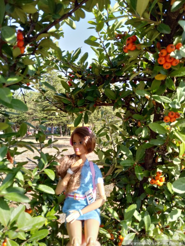 Отличный денёк — Болталка и разговоры обо всем: жизнь