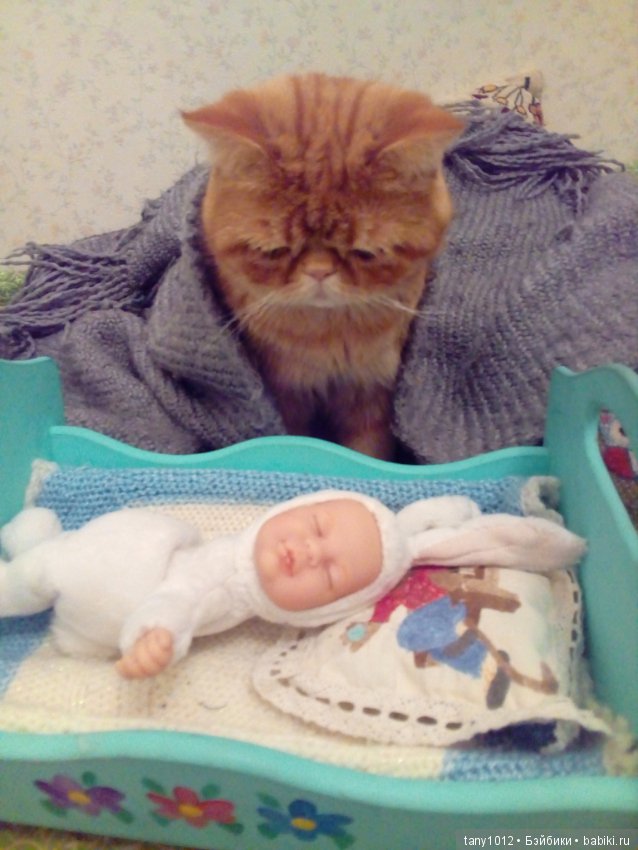 Няня-кошка — В мире животных: смешные фото питомцев и зверей (фото 2)