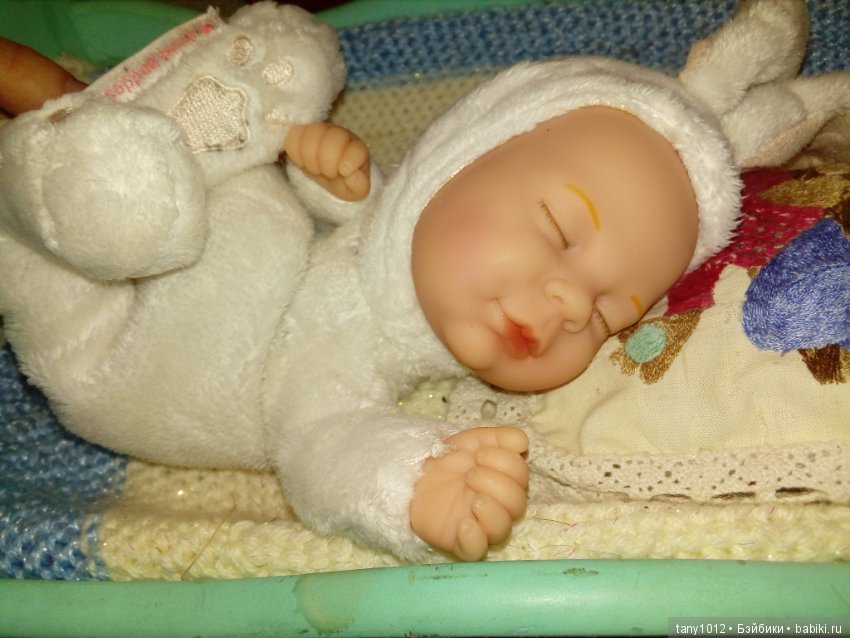 Няня-кошка — В мире животных: смешные фото питомцев и зверей