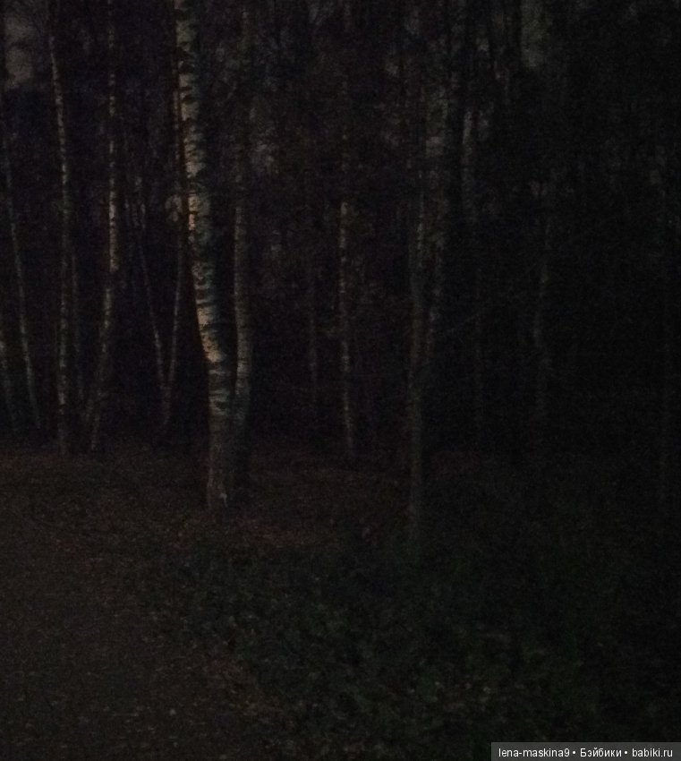 Диназаврики и их малыши, вышлю ночью в лес погулять