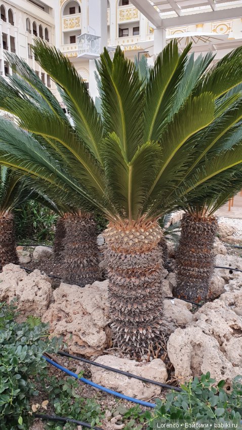 Осенний отпуск (продолжение)