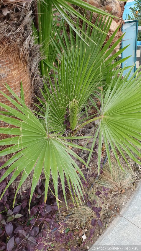 Осенний отпуск (продолжение)