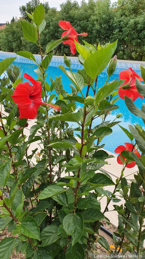 Осенний отпуск (продолжение)