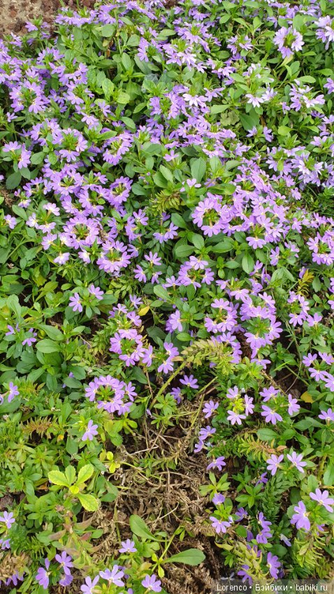 Осенний отпуск (продолжение)