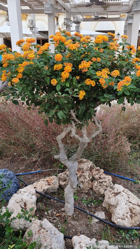 Осенний отпуск (продолжение)