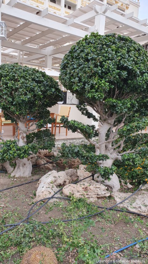 Осенний отпуск (продолжение)