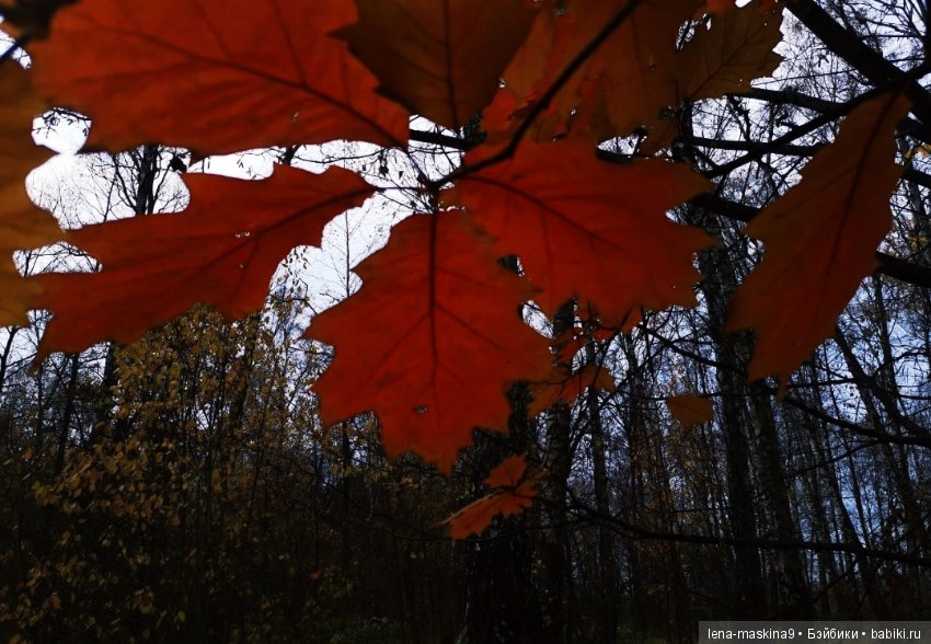 Ноона, неземная девушка — Авторские шарнирные куклы своими руками: лепка