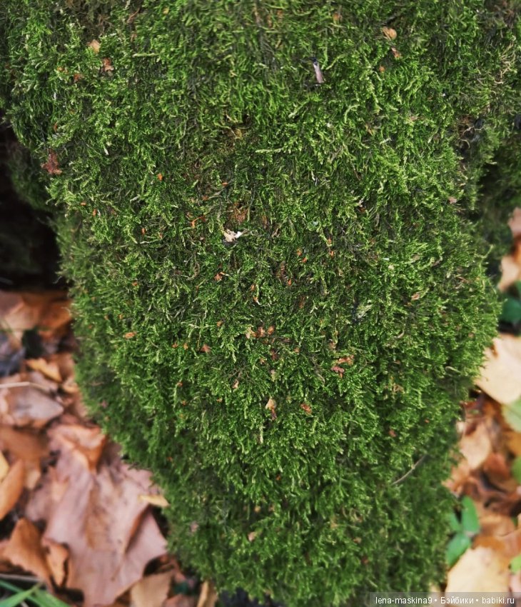 Ноона, неземная девушка — Авторские шарнирные куклы своими руками: лепка