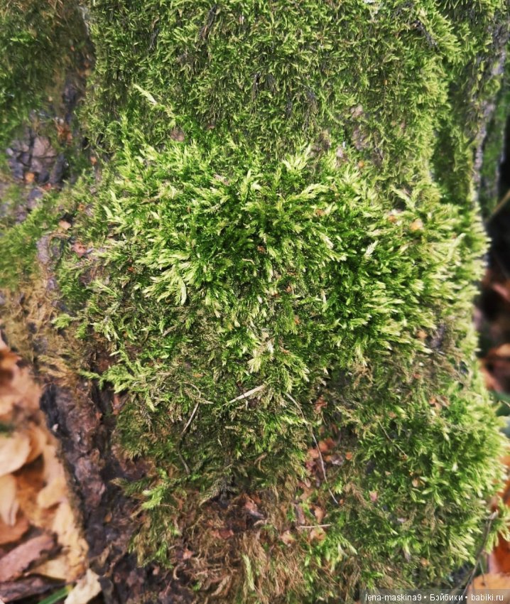 Ноона, неземная девушка — Авторские шарнирные куклы своими руками: лепка