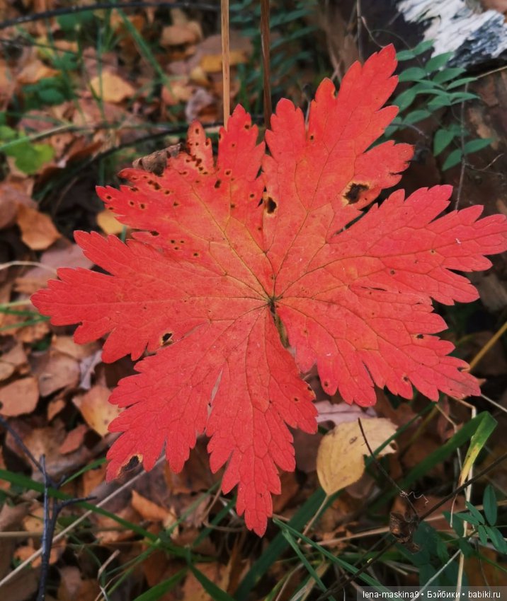 Ноона, неземная девушка — Авторские шарнирные куклы своими руками: лепка (фото 4)