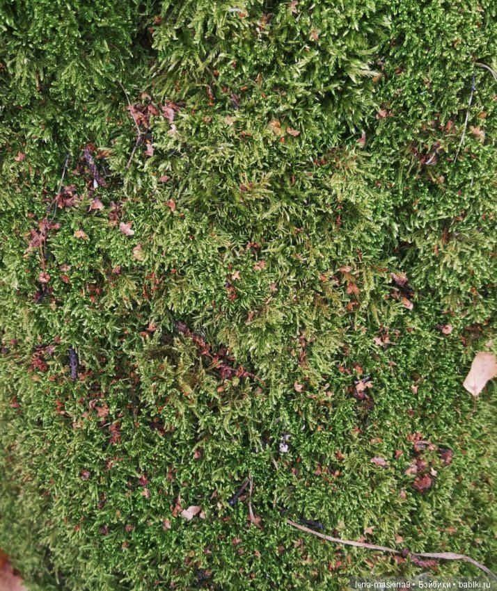 Ноона, неземная девушка — Авторские шарнирные куклы своими руками: лепка