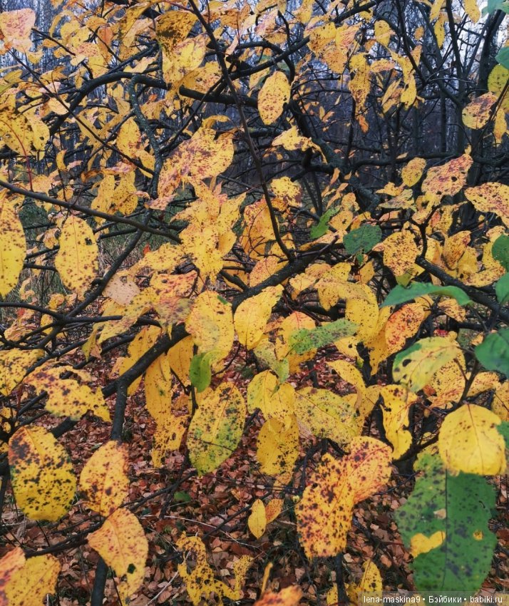 Ноона, неземная девушка — Авторские шарнирные куклы своими руками: лепка