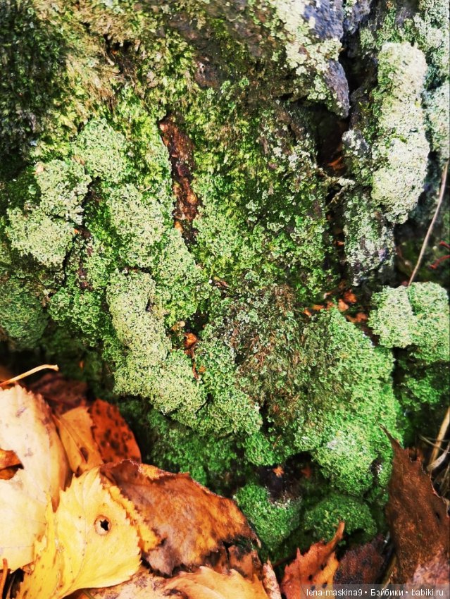 Ноона, неземная девушка — Авторские шарнирные куклы своими руками: лепка (фото 5)