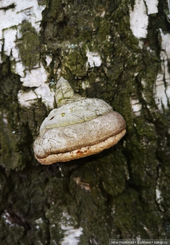 Ноона, неземная девушка — Авторские шарнирные куклы своими руками: лепка (фото 6)