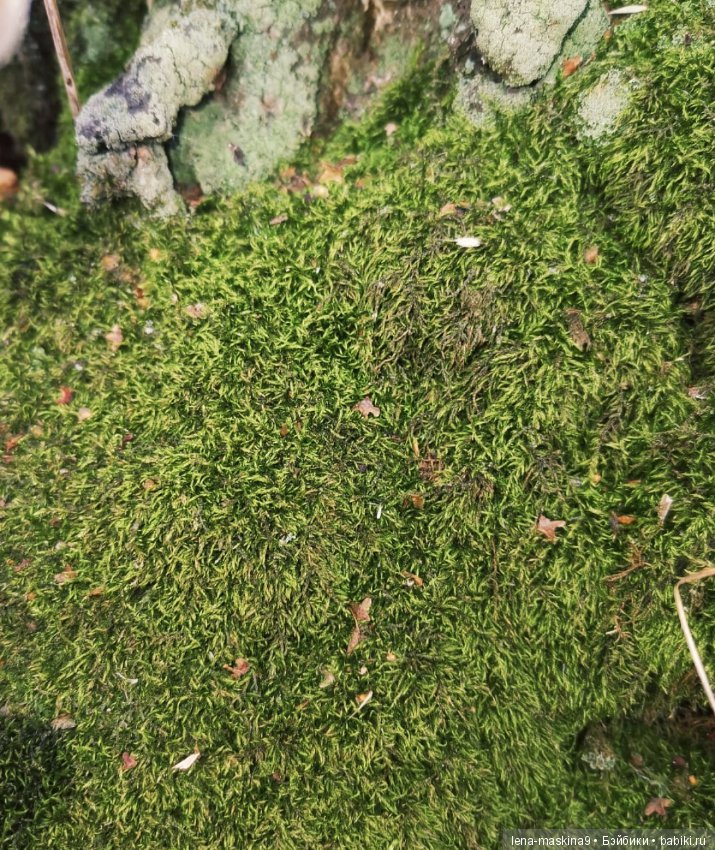 Ноона, неземная девушка — Авторские шарнирные куклы своими руками: лепка