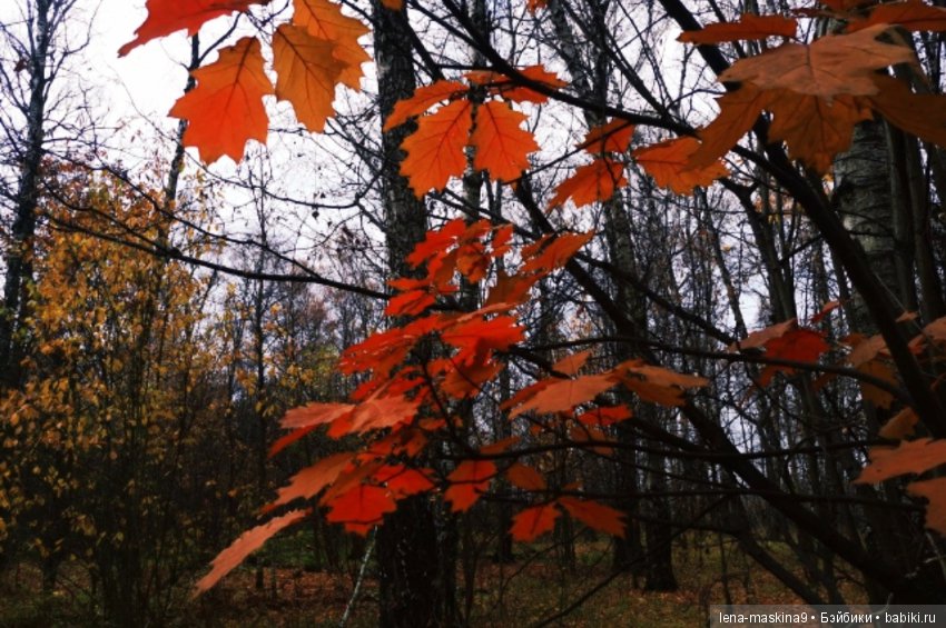 Ноона, неземная девушка — Авторские шарнирные куклы своими руками: лепка (фото 10)