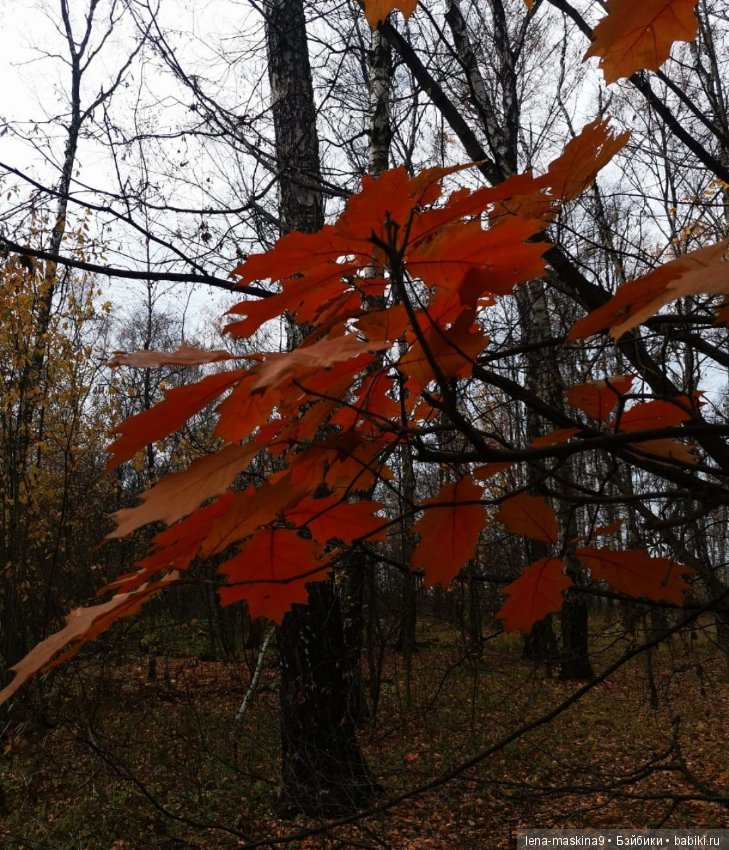 Ноона, неземная девушка — Авторские шарнирные куклы своими руками: лепка
