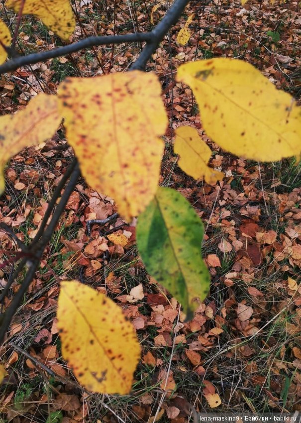 Ноона, неземная девушка — Авторские шарнирные куклы своими руками: лепка