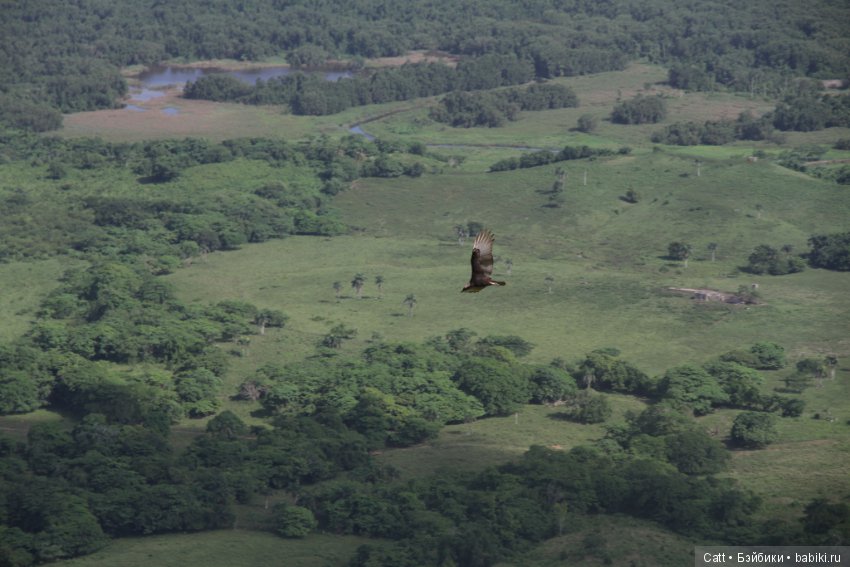 Осеннее путешествие — Куклы Gotz (Готц): Ханна (фото 5)