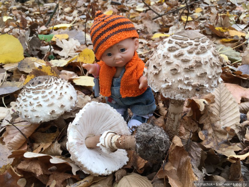 Как Данька за зонтиками ходил (фото 6)